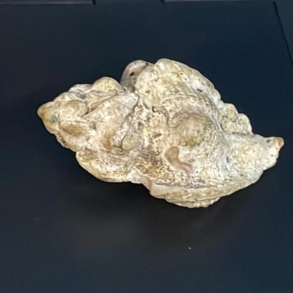 Calcified Sea Shell Interesting Fossil Specimen (Unknown Origin) - Picture 4 of 11